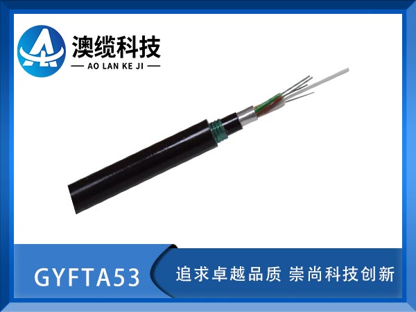 GYFTA53|GYFTA53|GYFTA53|r(ji)