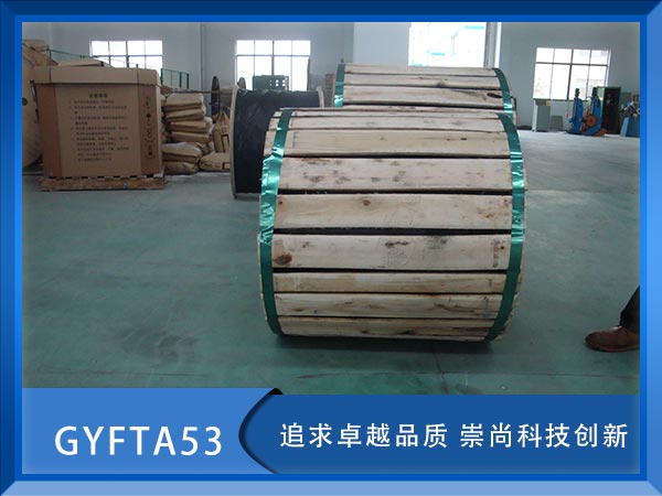 GYFTA53|GYFTA53|GYFTA53|r(ji)