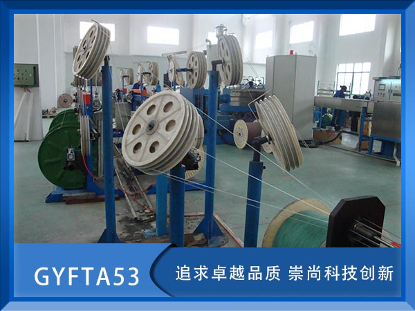 GYFTA53|GYFTA53|GYFTA53|r(ji)