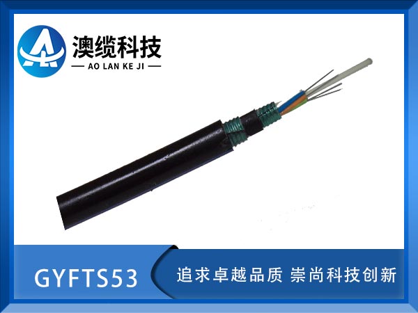 GYFTS53|GYFTS53|GYFS53|r(ji)