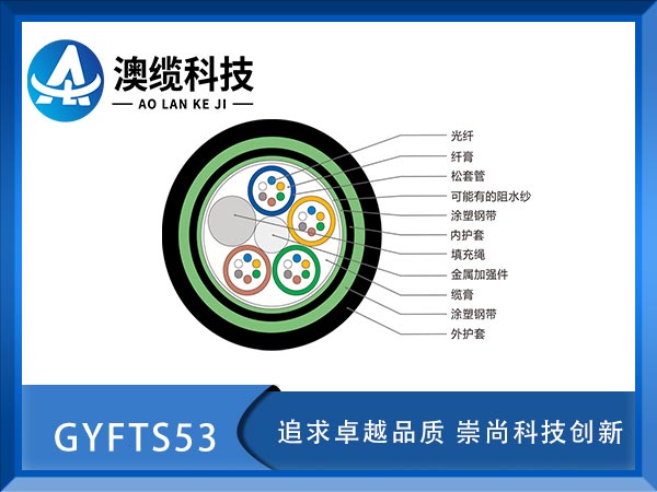 GYFTS53|GYFTS53|GYFS53|r