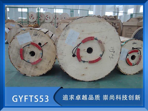 GYFTS53|GYFTS53|GYFS53|r