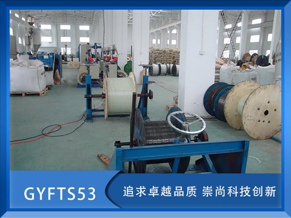GYFTS53|GYFTS53|GYFS53|r