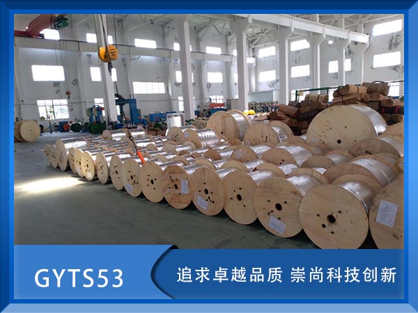 GYTS53|GYTS53|GYTS53|r