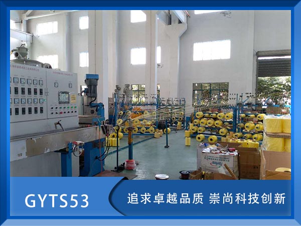 GYTS53|GYTS53|GYTS53|r