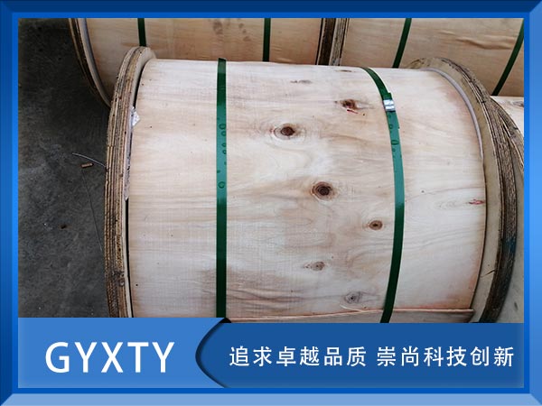 GYXTY|GYXTYͨŹ|GYXTY|r