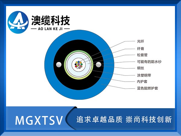 MGXTSV|MGXTSVVù|MGXTSV|r(ji)